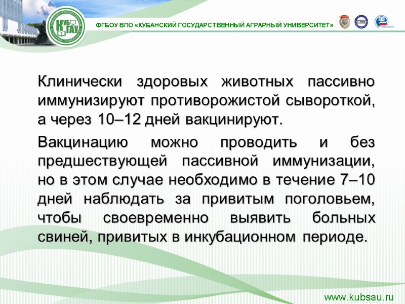 Клинически здоровых животных пассивно иммунизируют противорожистой сывороткой, а через 10–12 дней вакцинируют.  Вакцинацию